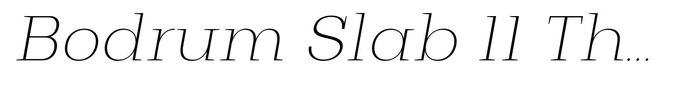 Bodrum Slab 11 Thin Italic